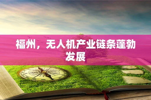 福州，无人机产业链条蓬勃发展