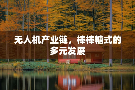 无人机产业链，棒棒糖式的多元发展