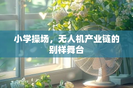 小学操场，无人机产业链的别样舞台