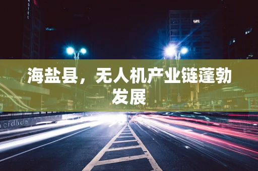 海盐县，无人机产业链蓬勃发展