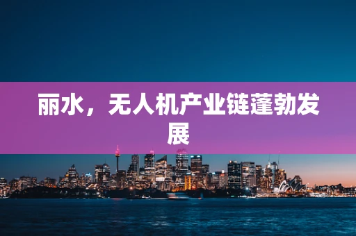 丽水，无人机产业链蓬勃发展