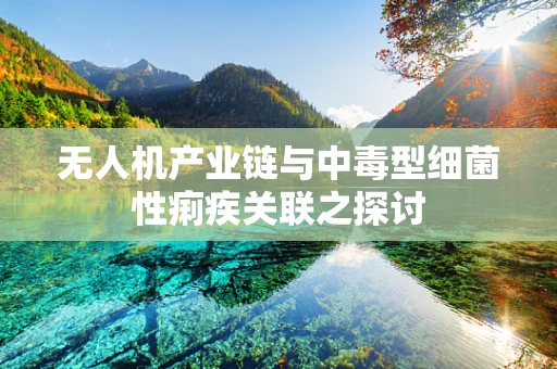 无人机产业链与中毒型细菌性痢疾关联之探讨