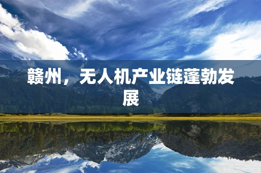 赣州，无人机产业链蓬勃发展