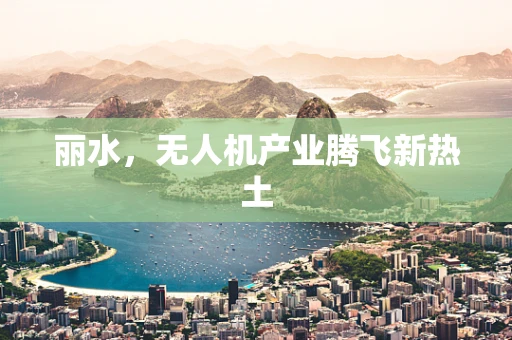 丽水，无人机产业腾飞新热土
