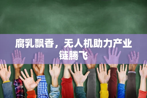 腐乳飘香，无人机助力产业链腾飞