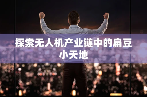 探索无人机产业链中的扁豆小天地