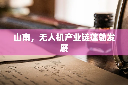 山南，无人机产业链蓬勃发展