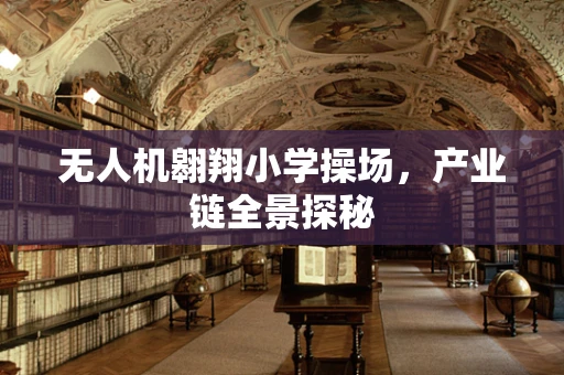 无人机翱翔小学操场，产业链全景探秘