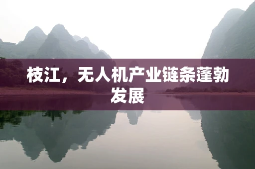 枝江，无人机产业链条蓬勃发展