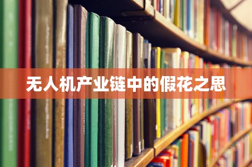 无人机产业链中的假花之思