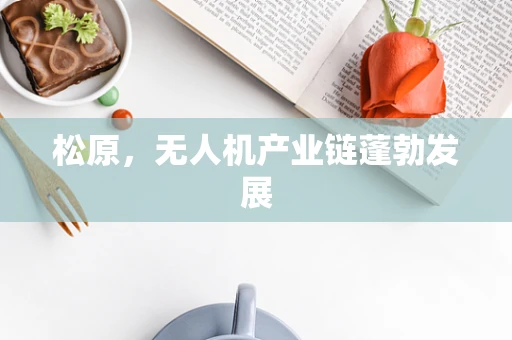 松原，无人机产业链蓬勃发展