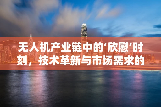 无人机产业链中的‘欣慰’时刻，技术革新与市场需求的完美契合