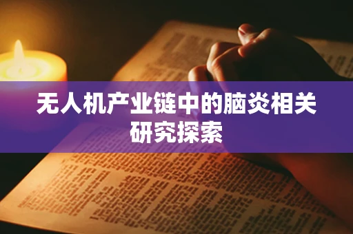 无人机产业链中的脑炎相关研究探索