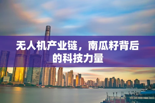无人机产业链，南瓜籽背后的科技力量