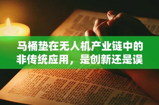 马桶垫在无人机产业链中的非传统应用，是创新还是误解？