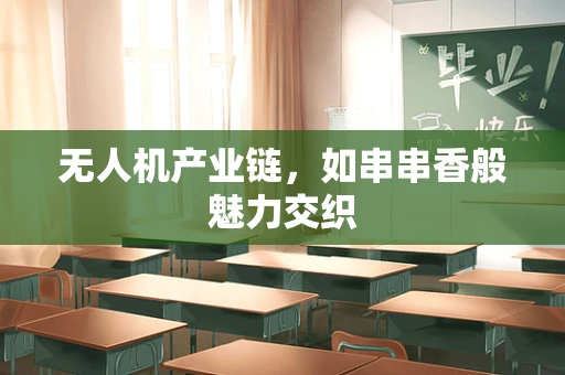 无人机产业链，如串串香般魅力交织