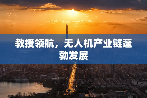 教授领航，无人机产业链蓬勃发展
