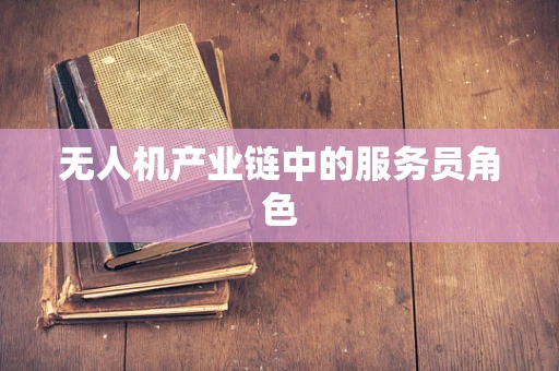 无人机产业链中的服务员角色