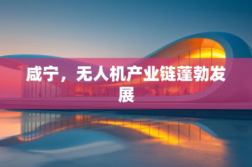 咸宁，无人机产业链蓬勃发展