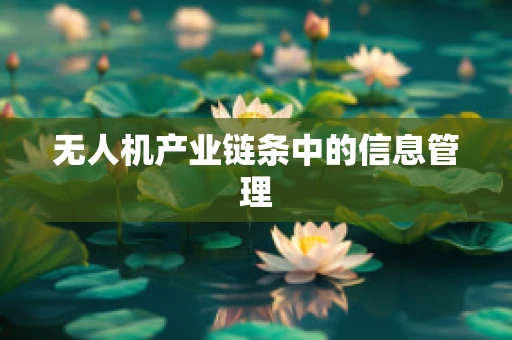 无人机产业链条中的信息管理