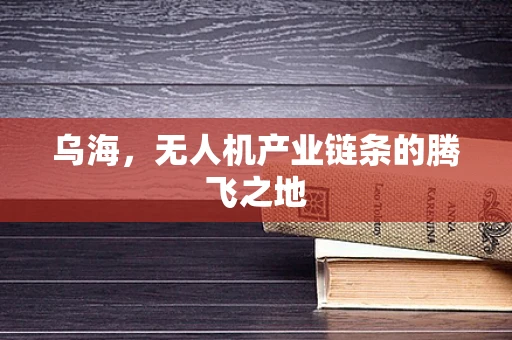 乌海，无人机产业链条的腾飞之地