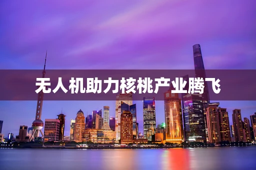 无人机助力核桃产业腾飞