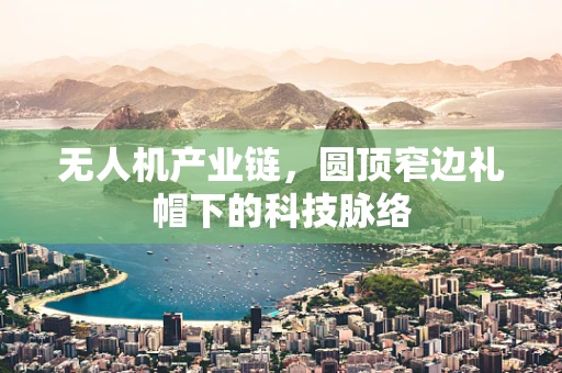 无人机产业链，圆顶窄边礼帽下的科技脉络