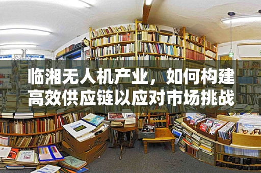 临湘无人机产业，如何构建高效供应链以应对市场挑战？