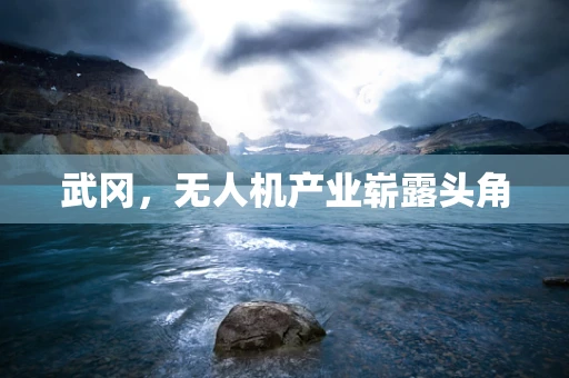 武冈，无人机产业崭露头角