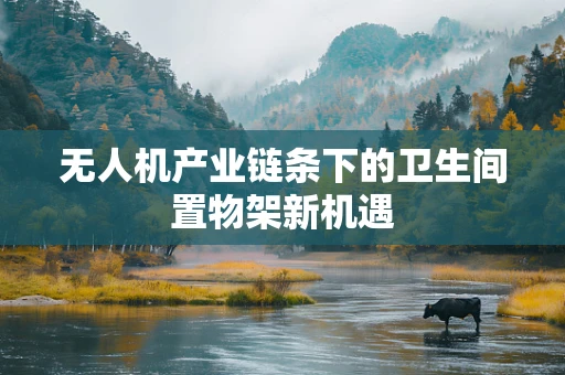 无人机产业链条下的卫生间置物架新机遇