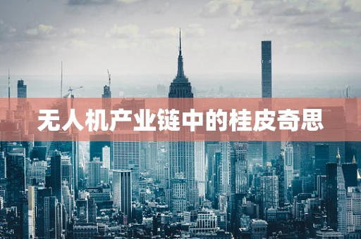 无人机产业链中的桂皮奇思