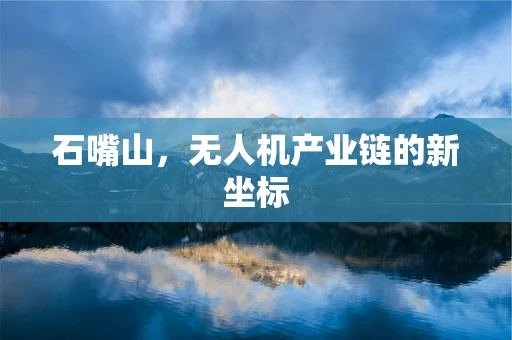 石嘴山，无人机产业链的新坐标