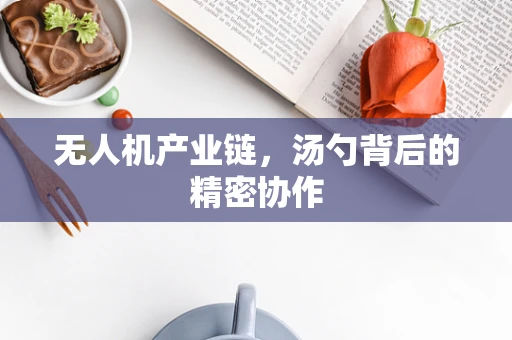 无人机产业链，汤勺背后的精密协作