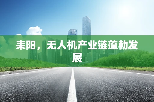 耒阳，无人机产业链蓬勃发展