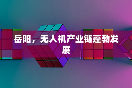 岳阳，无人机产业链蓬勃发展