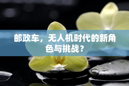 邮政车，无人机时代的新角色与挑战？