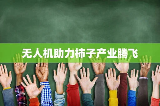 无人机助力柿子产业腾飞