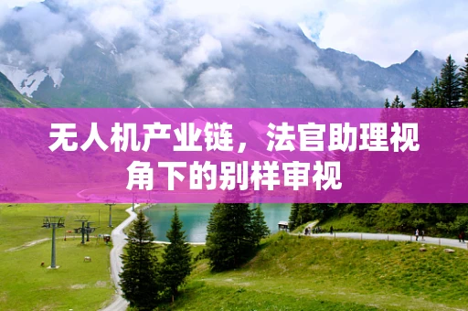 无人机产业链，法官助理视角下的别样审视