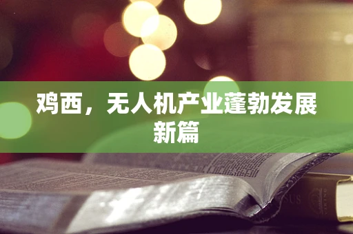 鸡西，无人机产业蓬勃发展新篇