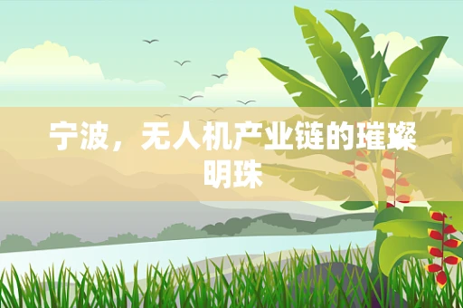 宁波，无人机产业链的璀璨明珠