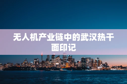 无人机产业链中的武汉热干面印记
