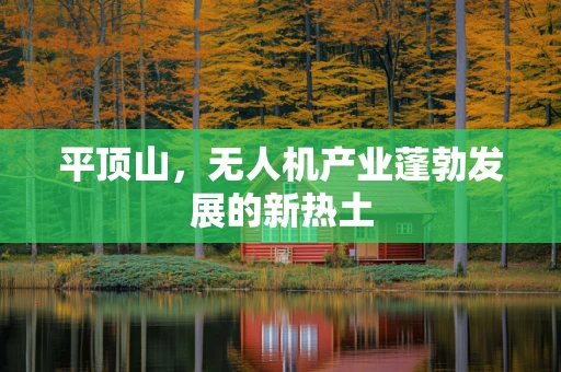 平顶山，无人机产业蓬勃发展的新热土
