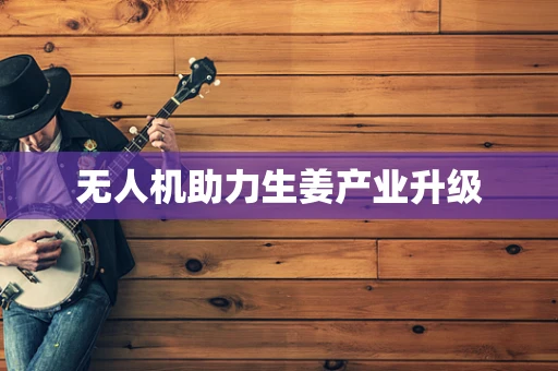 无人机助力生姜产业升级