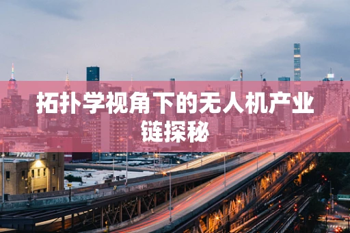 拓扑学视角下的无人机产业链探秘