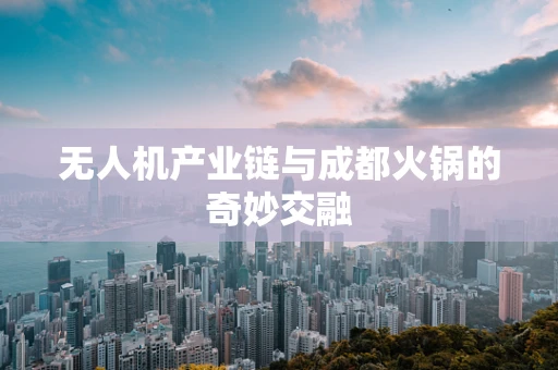 无人机产业链与成都火锅的奇妙交融