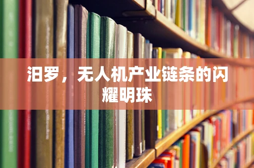 汨罗，无人机产业链条的闪耀明珠