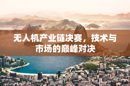 无人机产业链决赛，技术与市场的巅峰对决