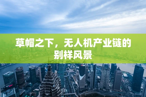 草帽之下，无人机产业链的别样风景