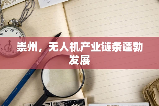 崇州，无人机产业链条蓬勃发展