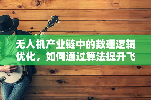 无人机产业链中的数理逻辑优化，如何通过算法提升飞行效率？